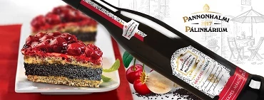 Pálinka alapú italkülönlegesség